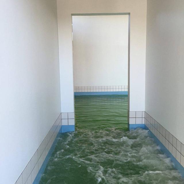 14138290_10154483698954321_636801379_n