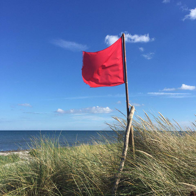 14182351_10154483698434321_885998609_n