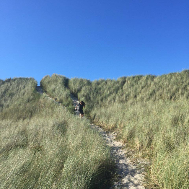 14182394_10154483694534321_108841489_n