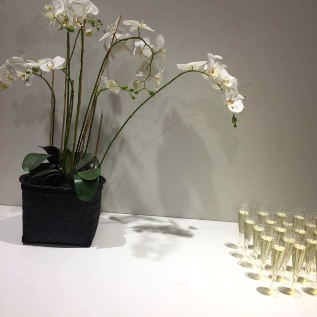 17200573_10155119896064321_1547698016_o